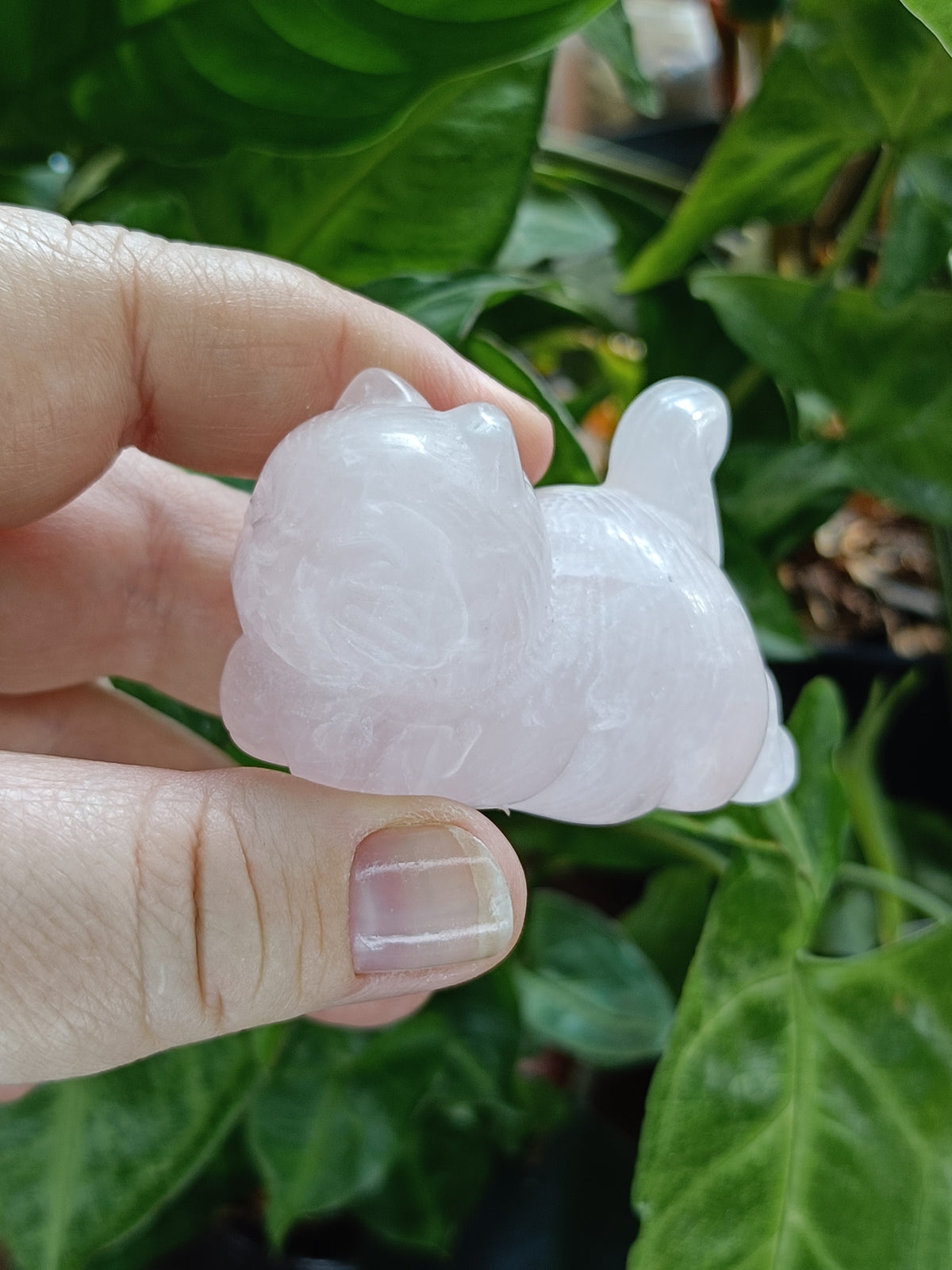 Rose Quartz Laying Down Cat - 105g