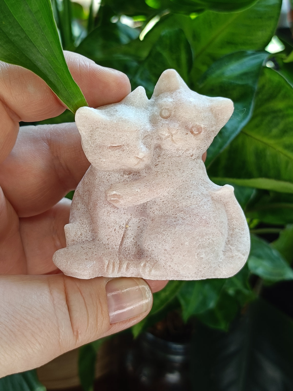 Pink Opal Hugging Cat Carving - 115g