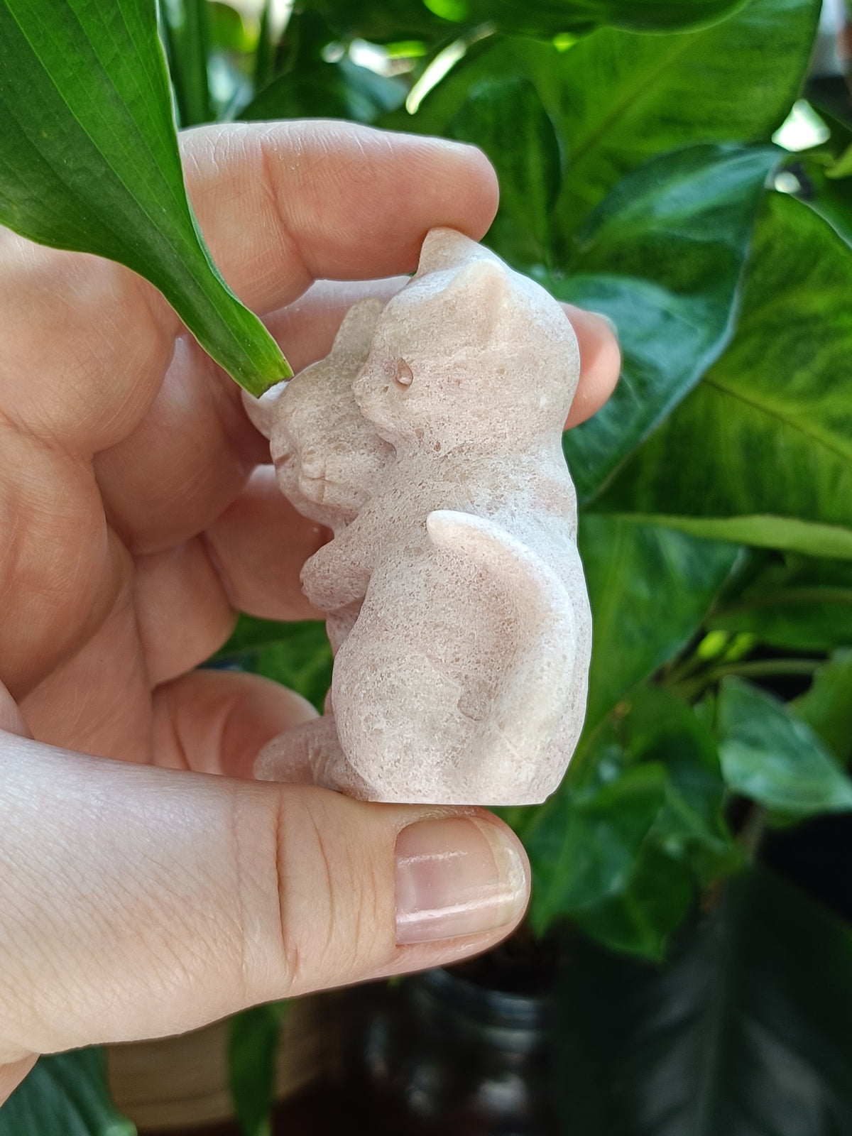Pink Opal Hugging Cat Carving - 115g