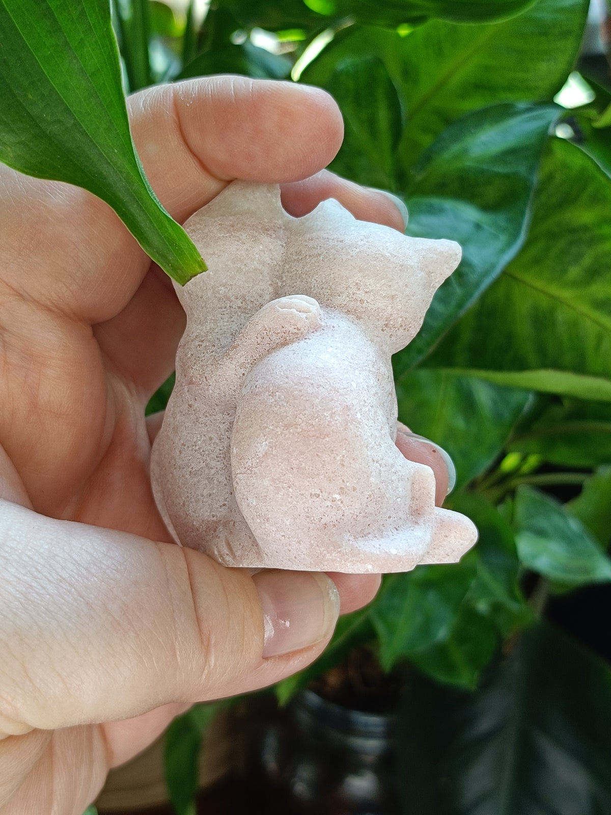 Pink Opal Hugging Cat Carving - 115g