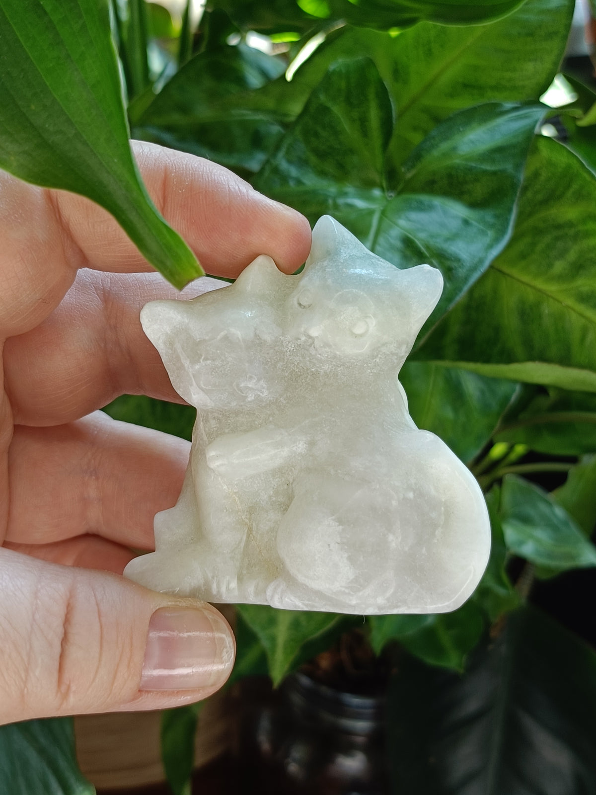 Clouded Fluorite Hugging Cat Carving - 127g