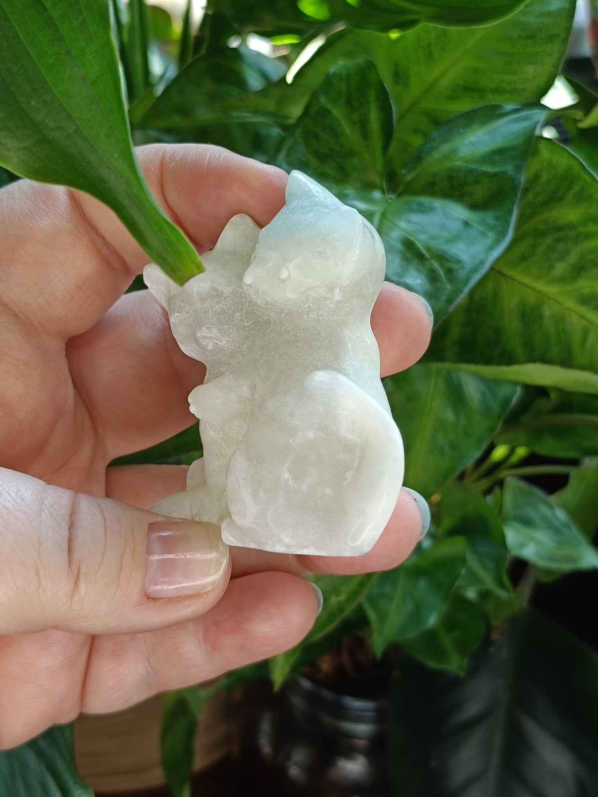 Clouded Fluorite Hugging Cat Carving - 127g