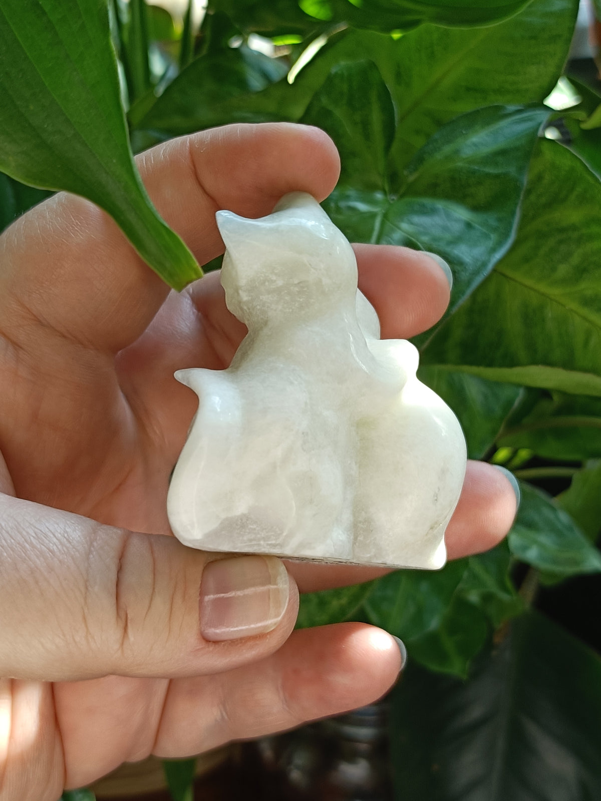 Clouded Fluorite Hugging Cat Carving - 127g