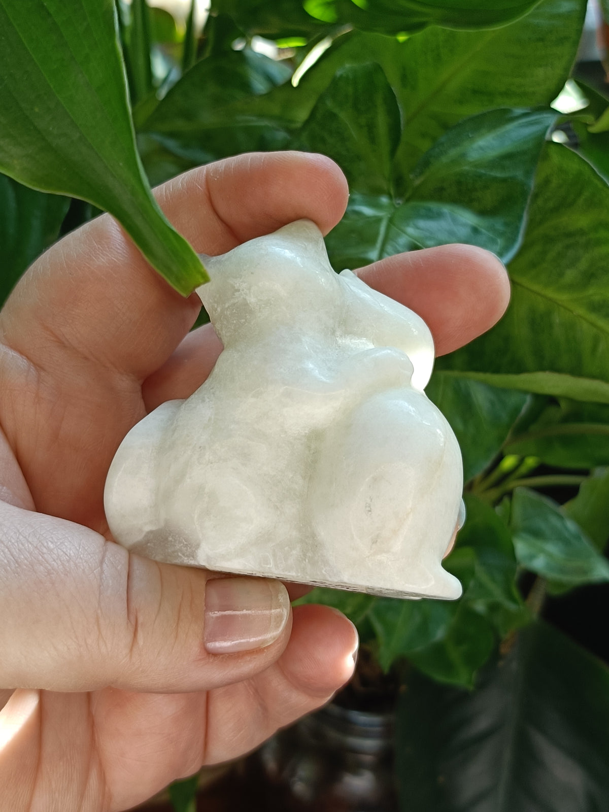 Clouded Fluorite Hugging Cat Carving - 127g