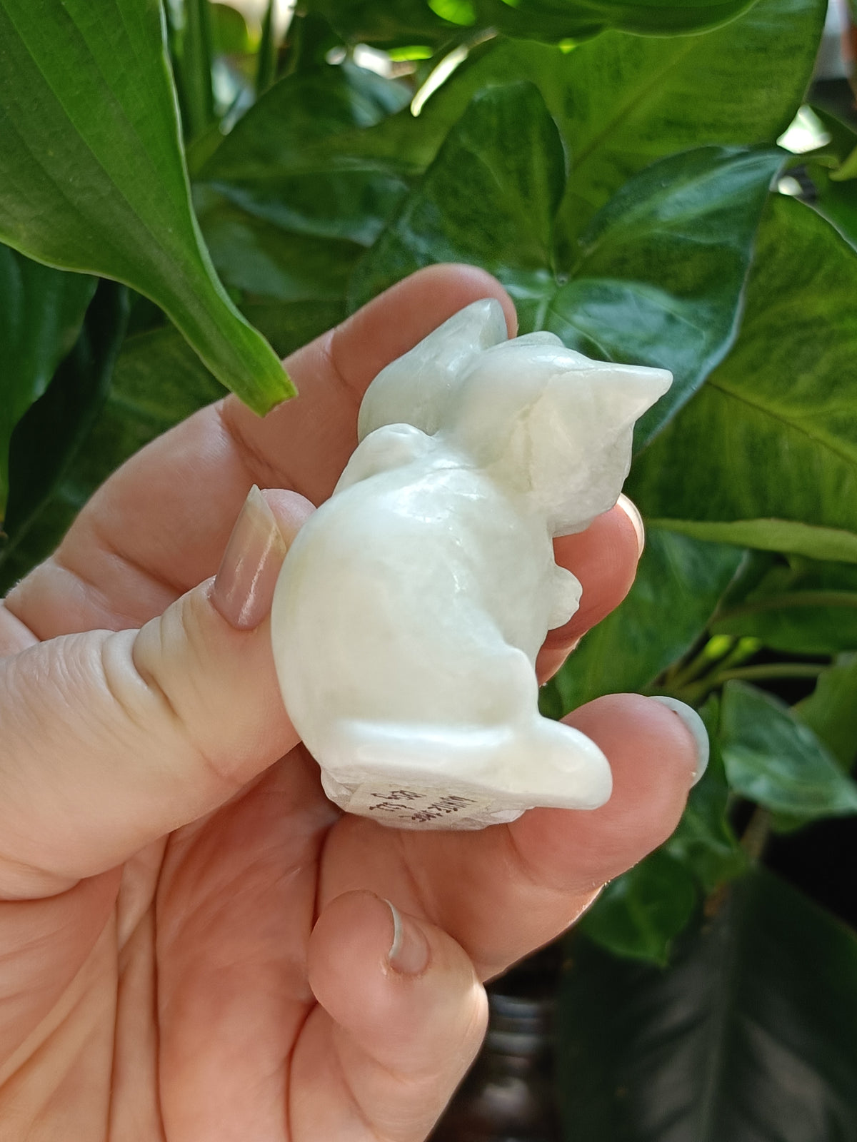 Clouded Fluorite Hugging Cat Carving - 127g