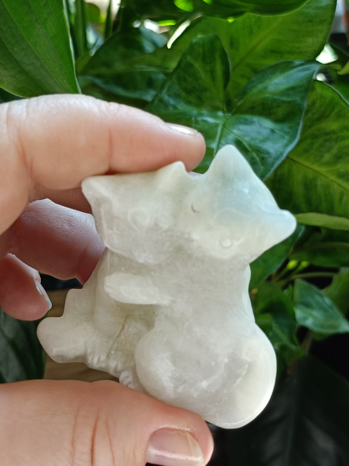 Clouded Fluorite Hugging Cat Carving - 127g