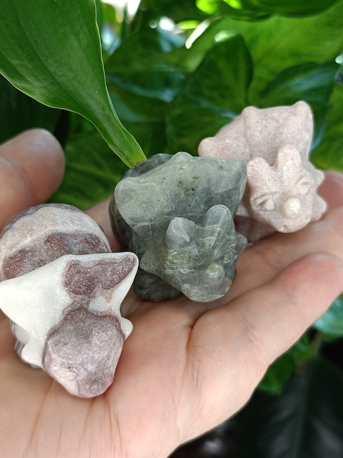 Mixed Triceratops Dino Carvings - 70-80g