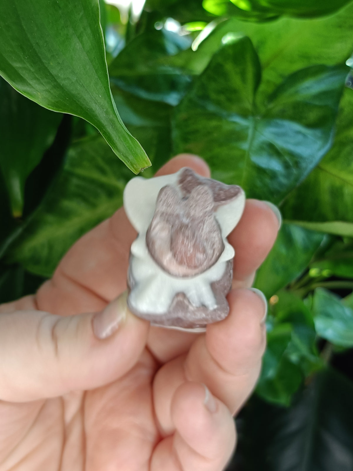 Mixed Triceratops Dino Carvings - 70-80g