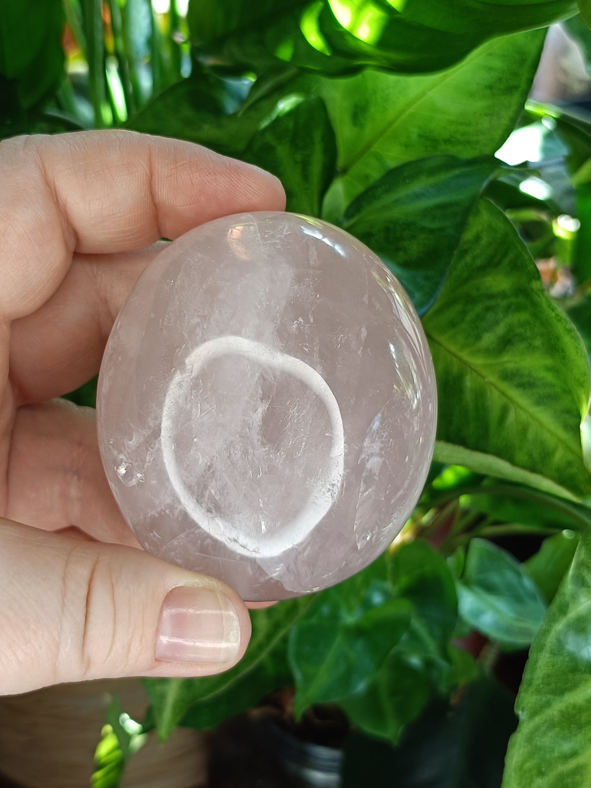 Rose Quartz Palm Stone - 184g
