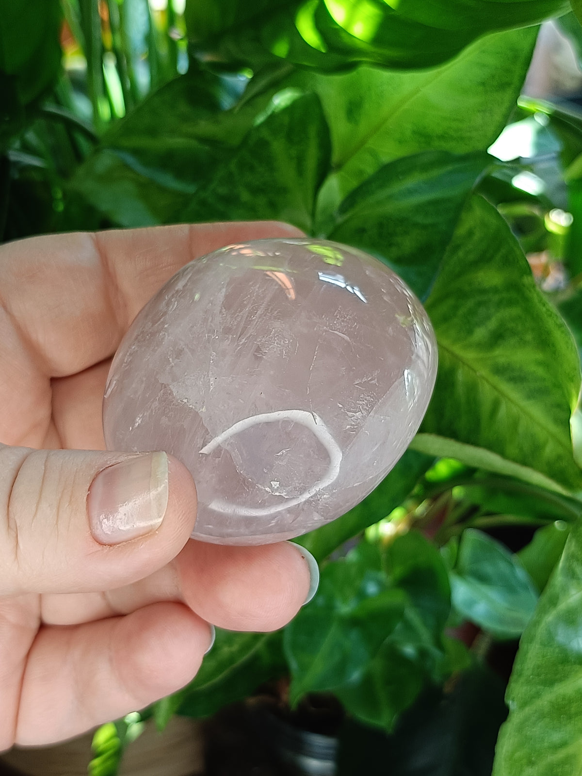 Rose Quartz Palm Stone - 184g