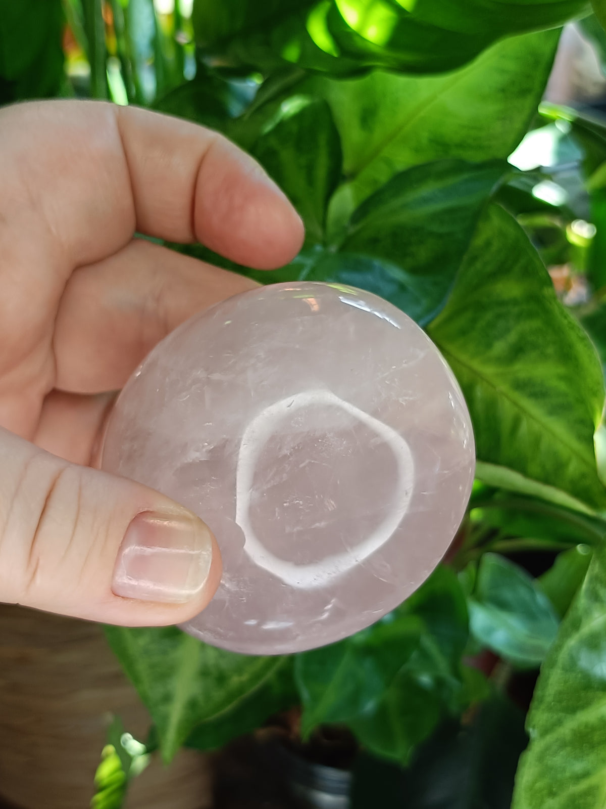 Rose Quartz Palm Stone - 184g