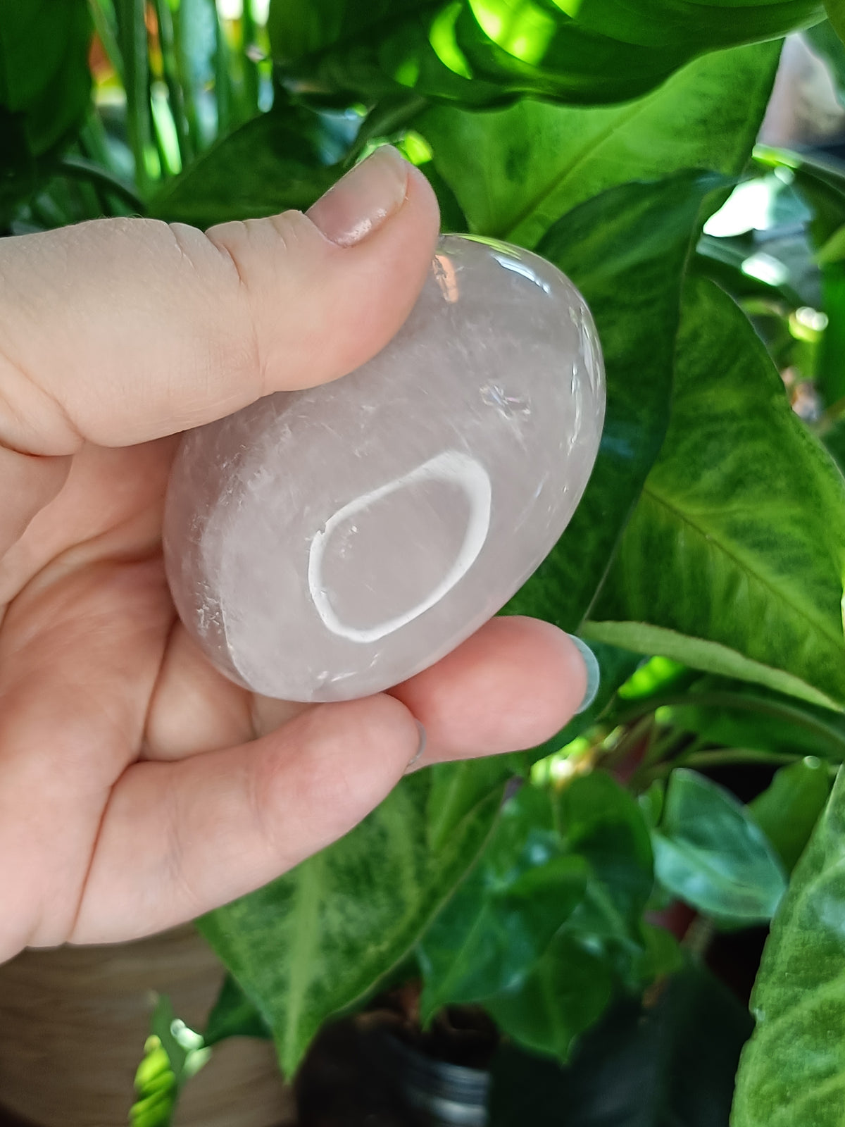 Rose Quartz Palm Stone - 184g