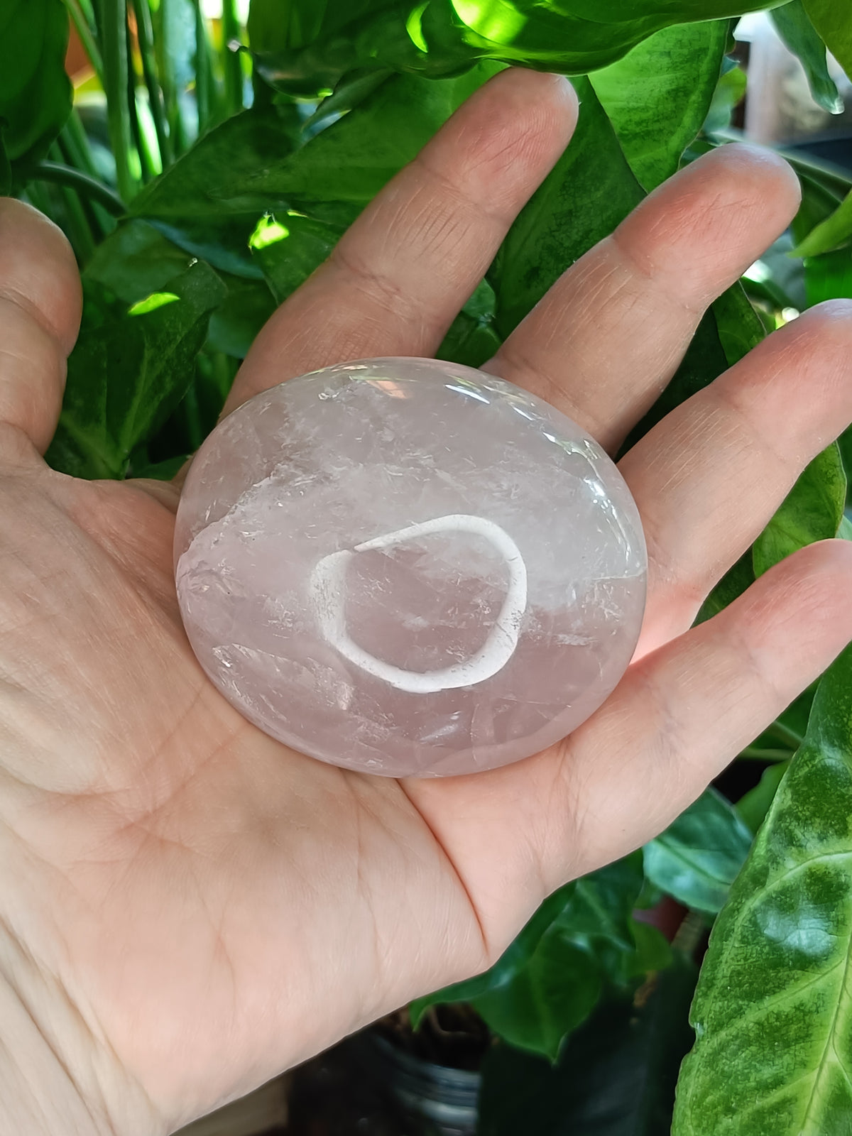 Rose Quartz Palm Stone - 184g