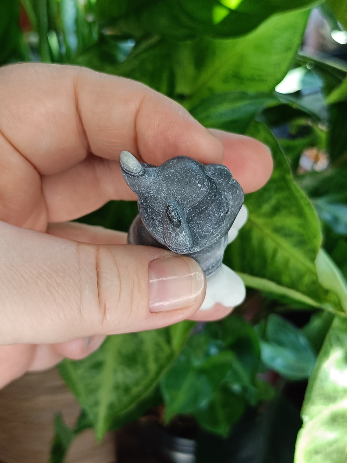 Mixed Small French Bulldog Puppy Carvings - 50-60g