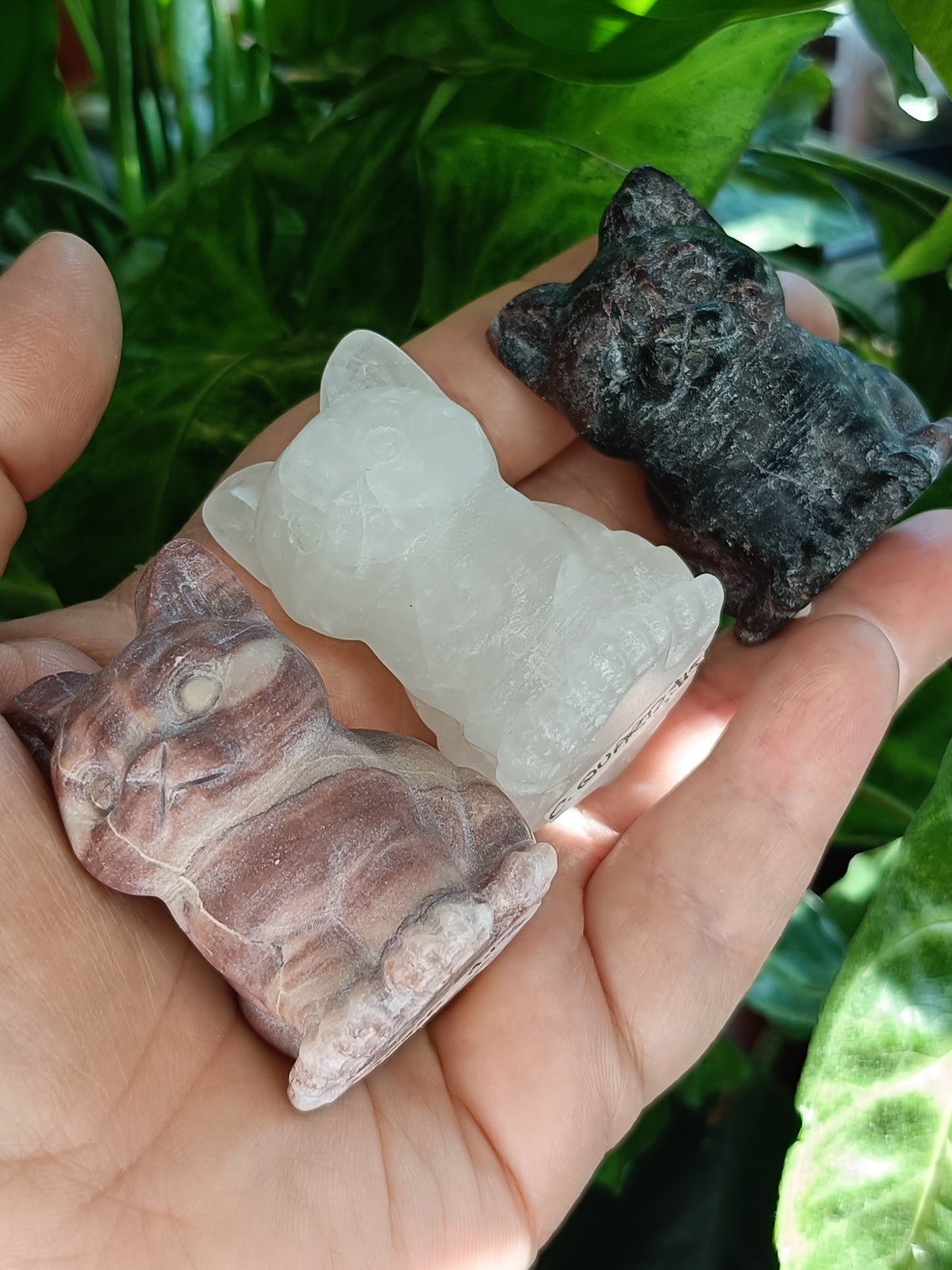 Mixed Curious Kitten Carvings - 80-100g