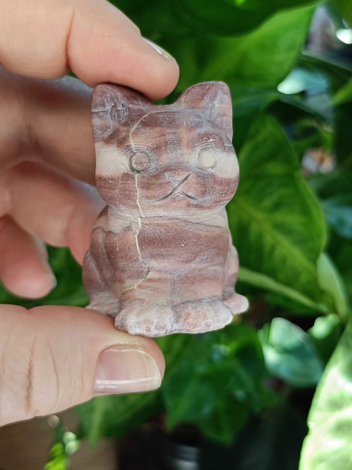 Mixed Curious Kitten Carvings - 80-100g