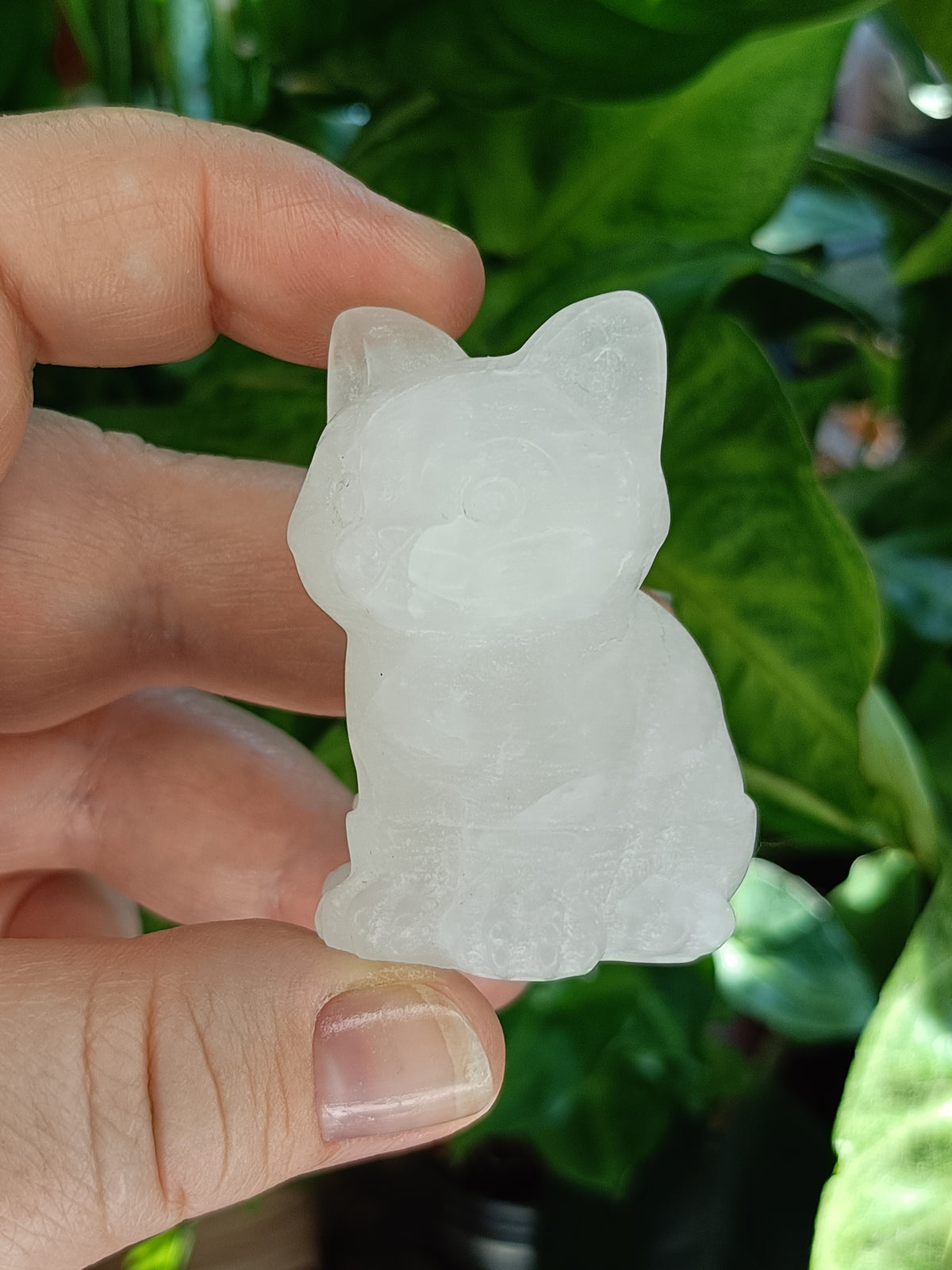 Mixed Curious Kitten Carvings - 80-100g