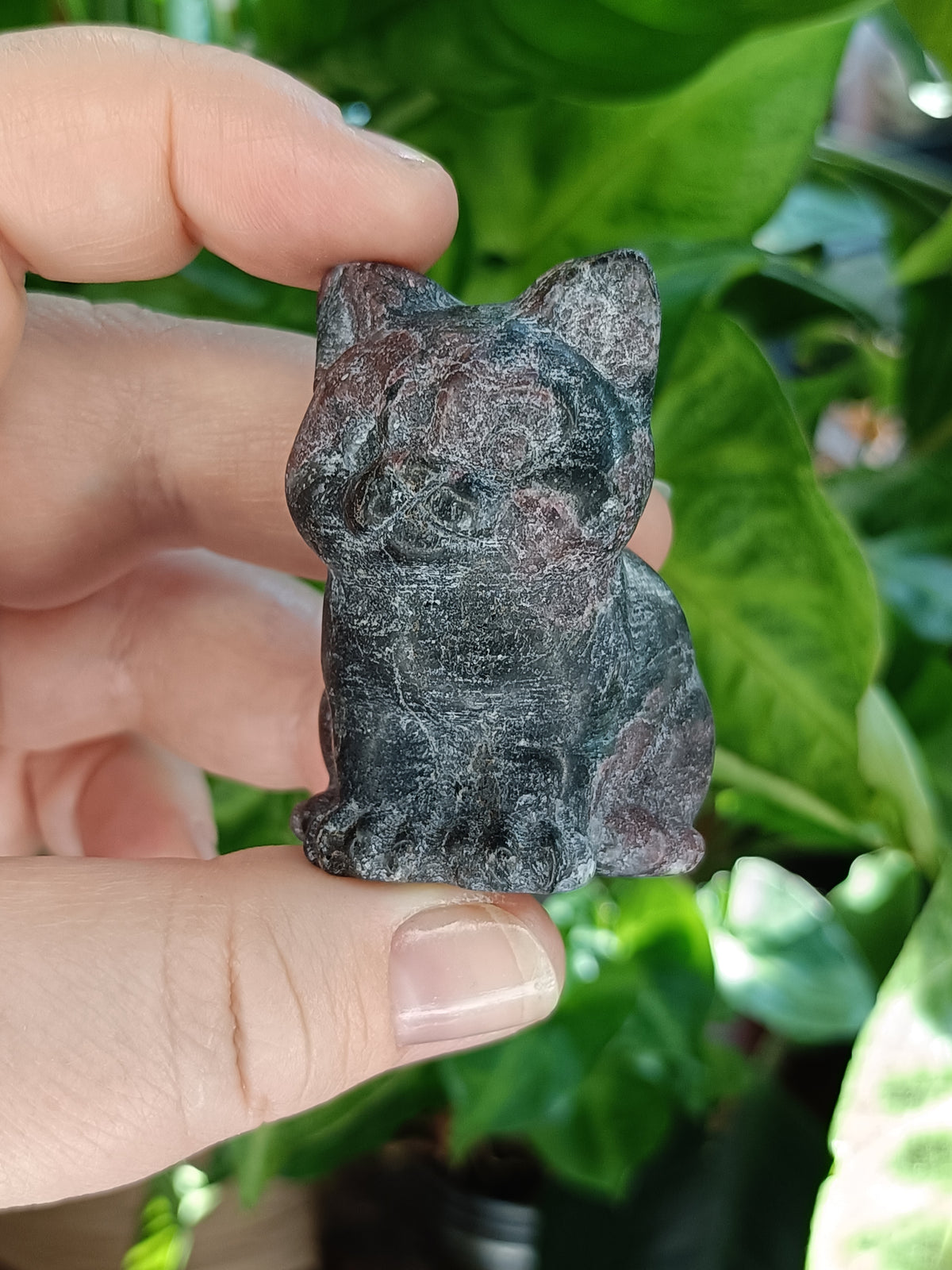 Mixed Curious Kitten Carvings - 80-100g