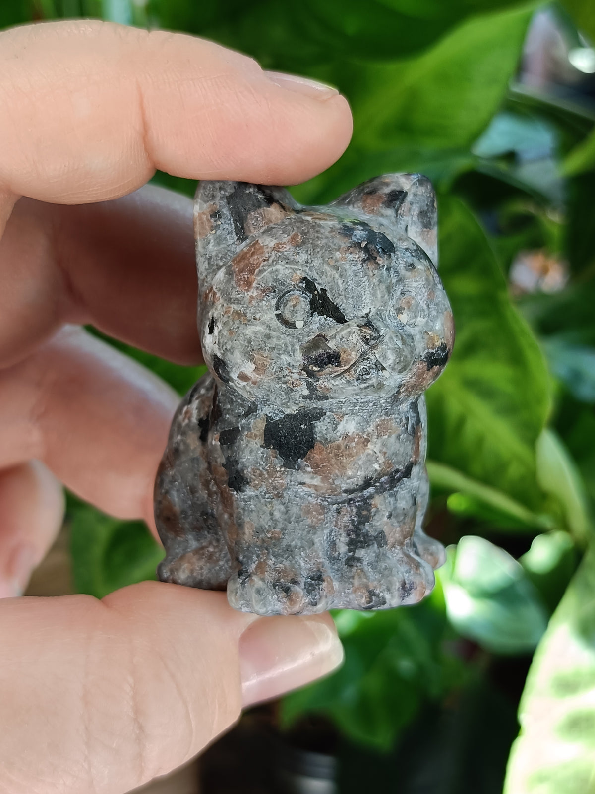 Mixed Curious Kitten Carvings - 80-100g