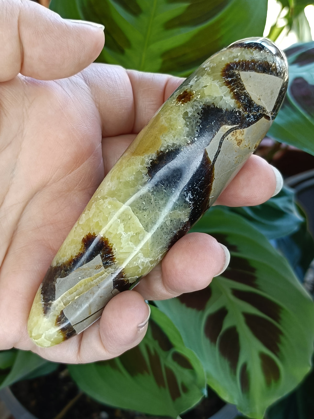 Septarian 'Dragon Stone' Wand - 172g