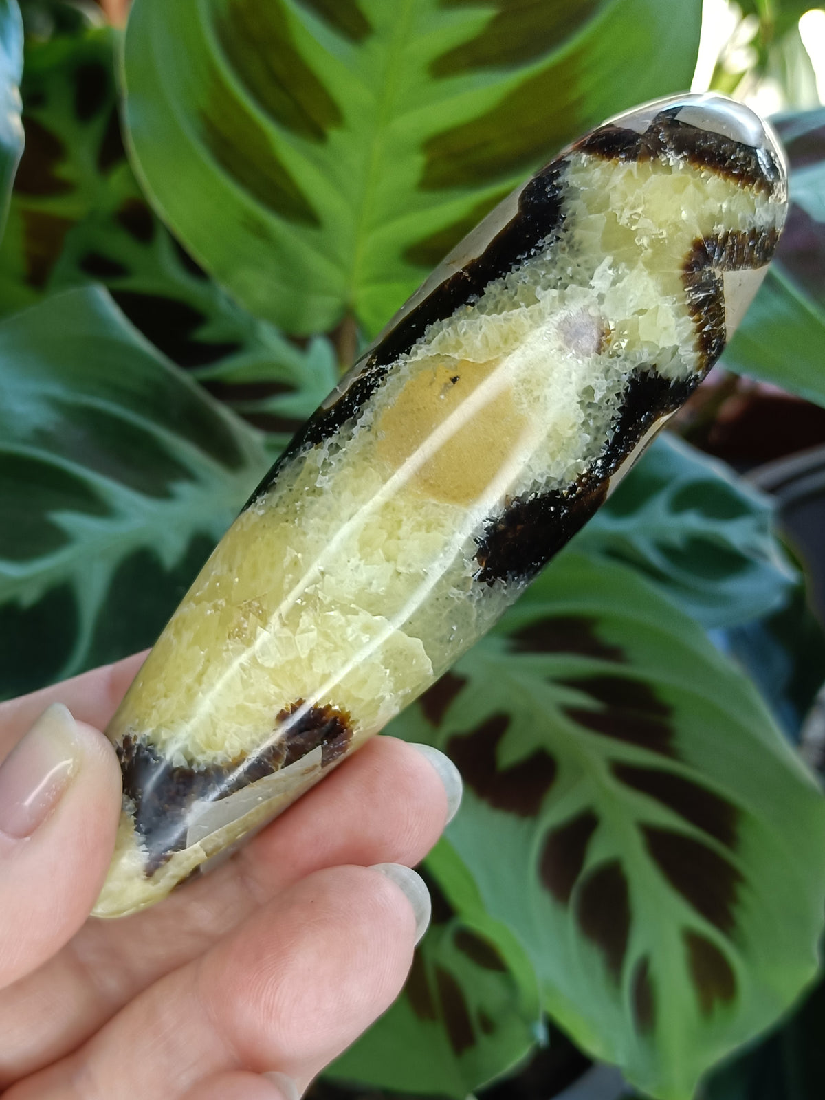 Septarian 'Dragon Stone' Wand - 172g