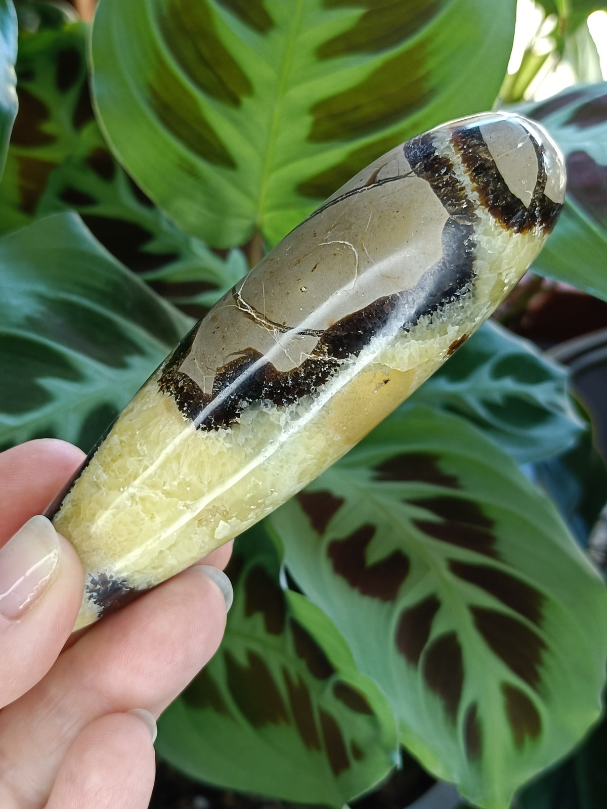 Septarian 'Dragon Stone' Wand - 172g