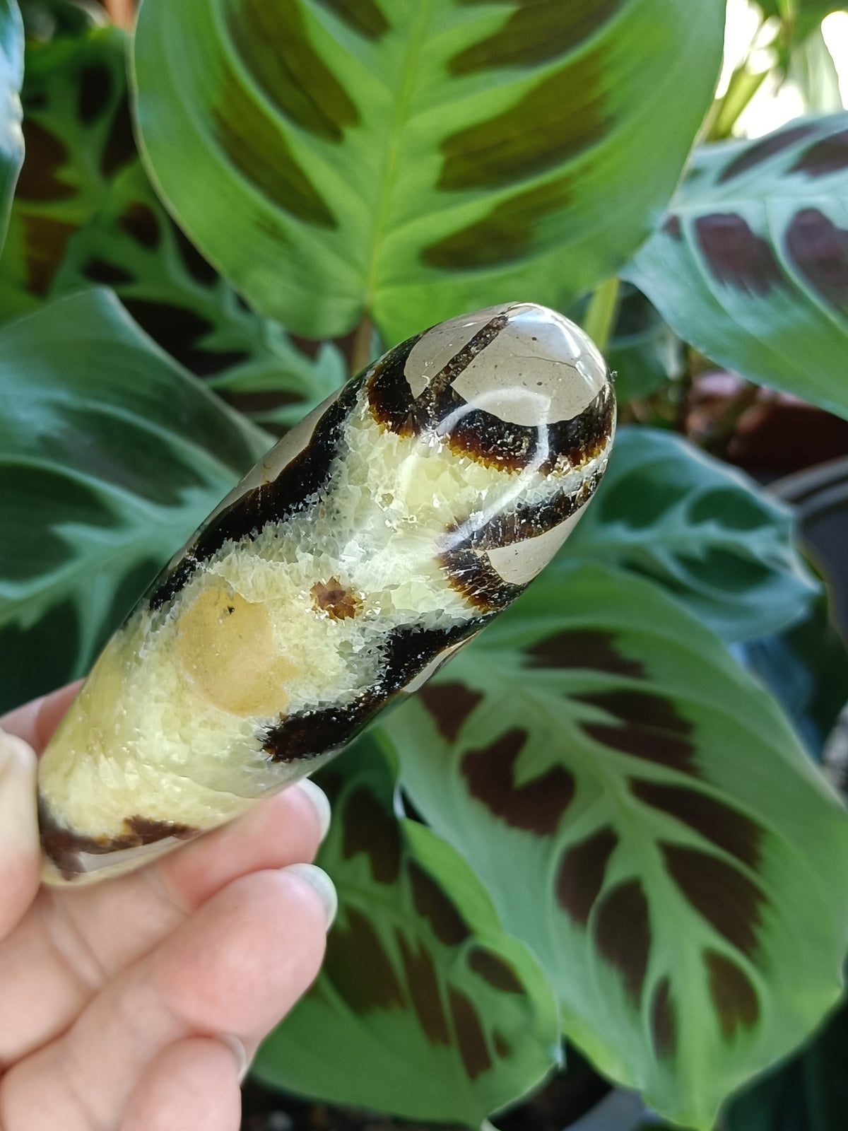 Septarian 'Dragon Stone' Wand - 172g
