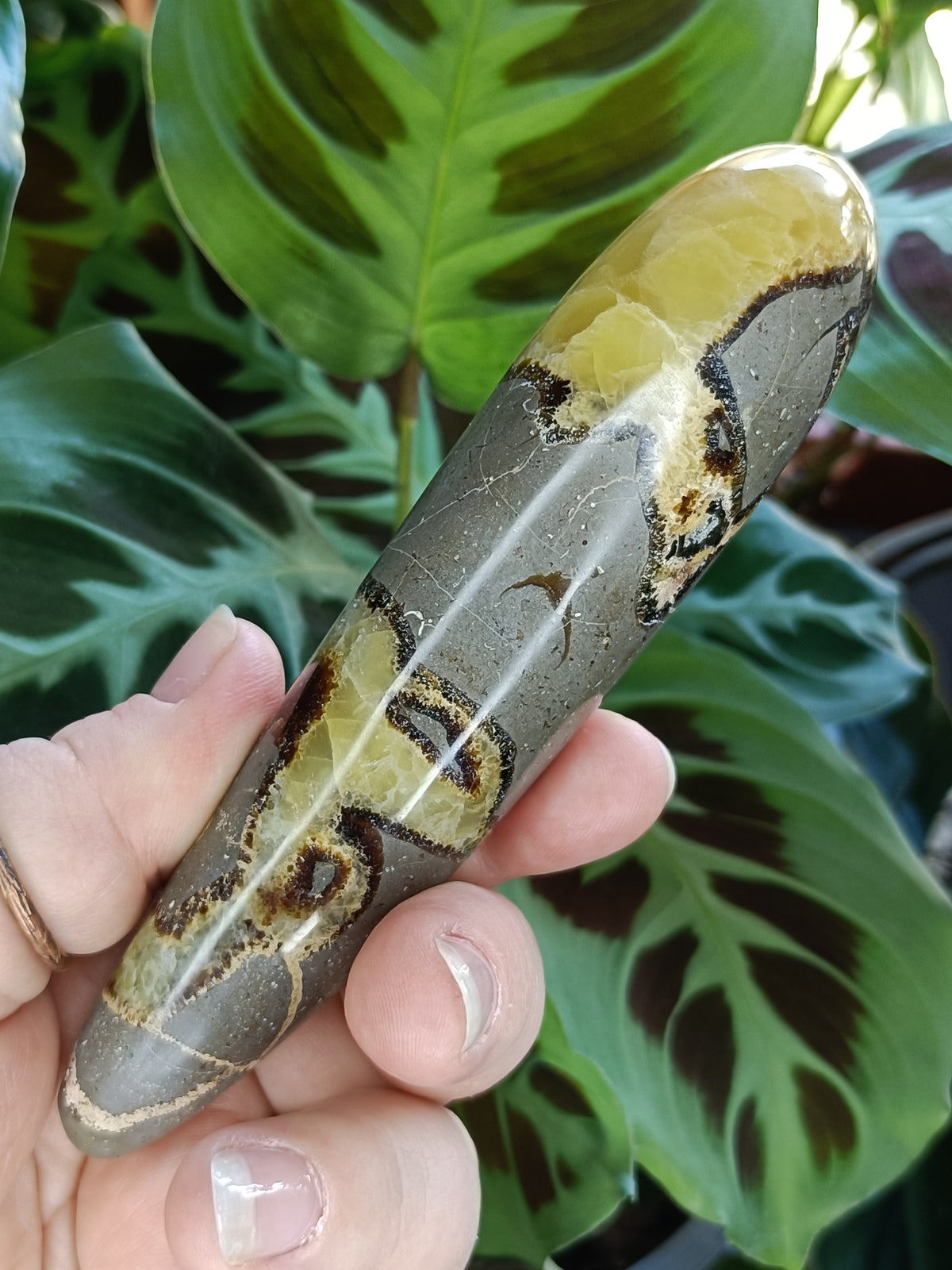 Septarian 'Dragon Stone' Wand - 186g