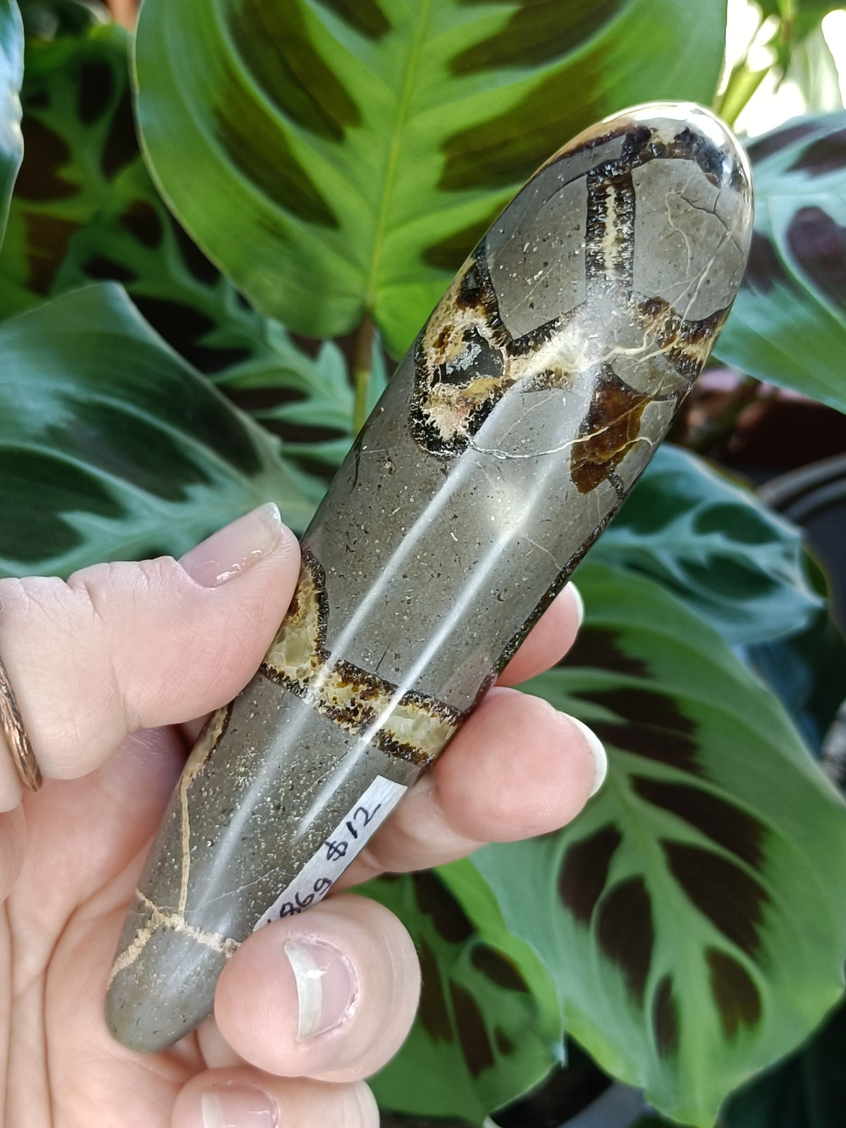 Septarian 'Dragon Stone' Wand - 186g