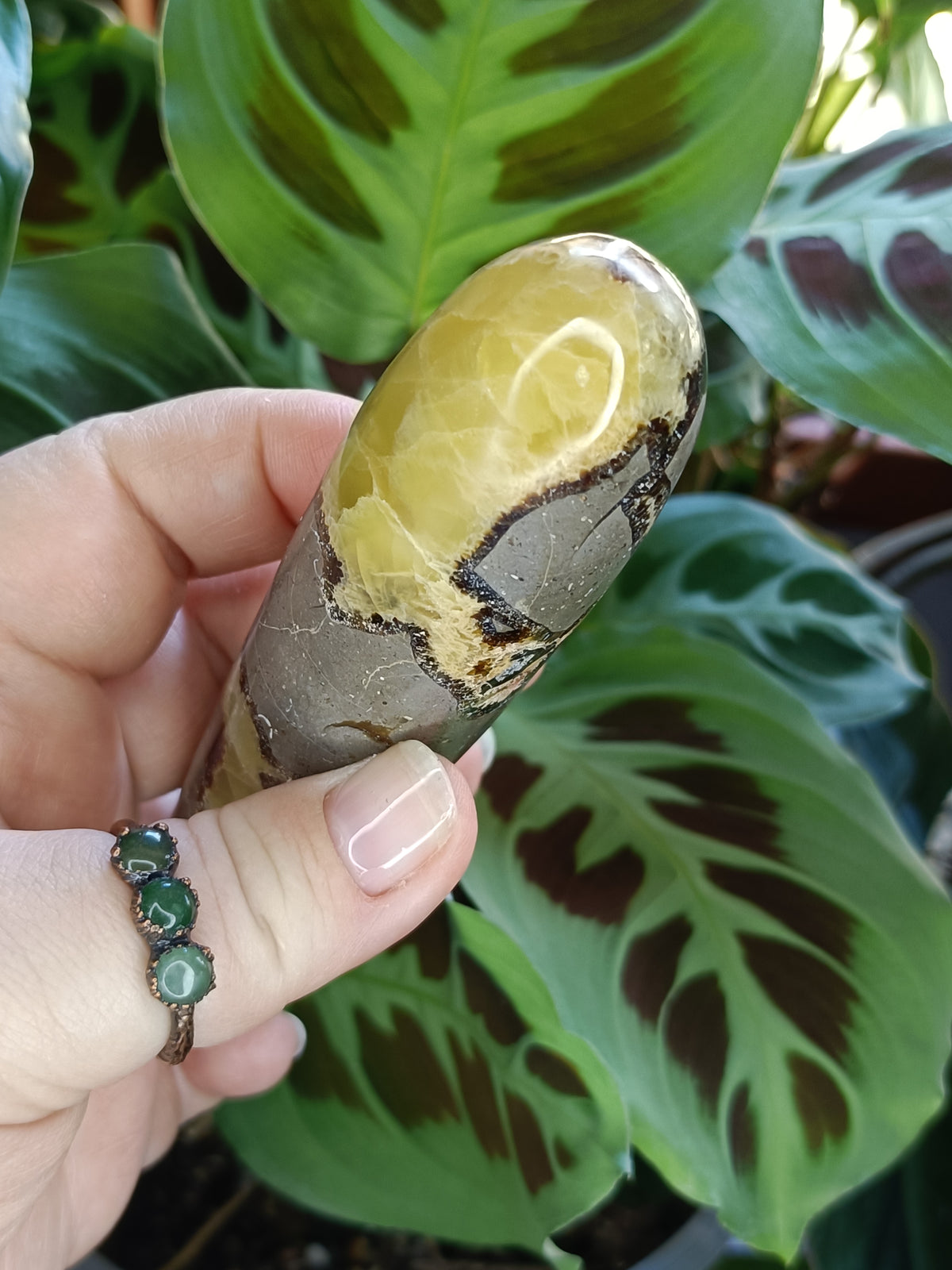 Septarian 'Dragon Stone' Wand - 186g