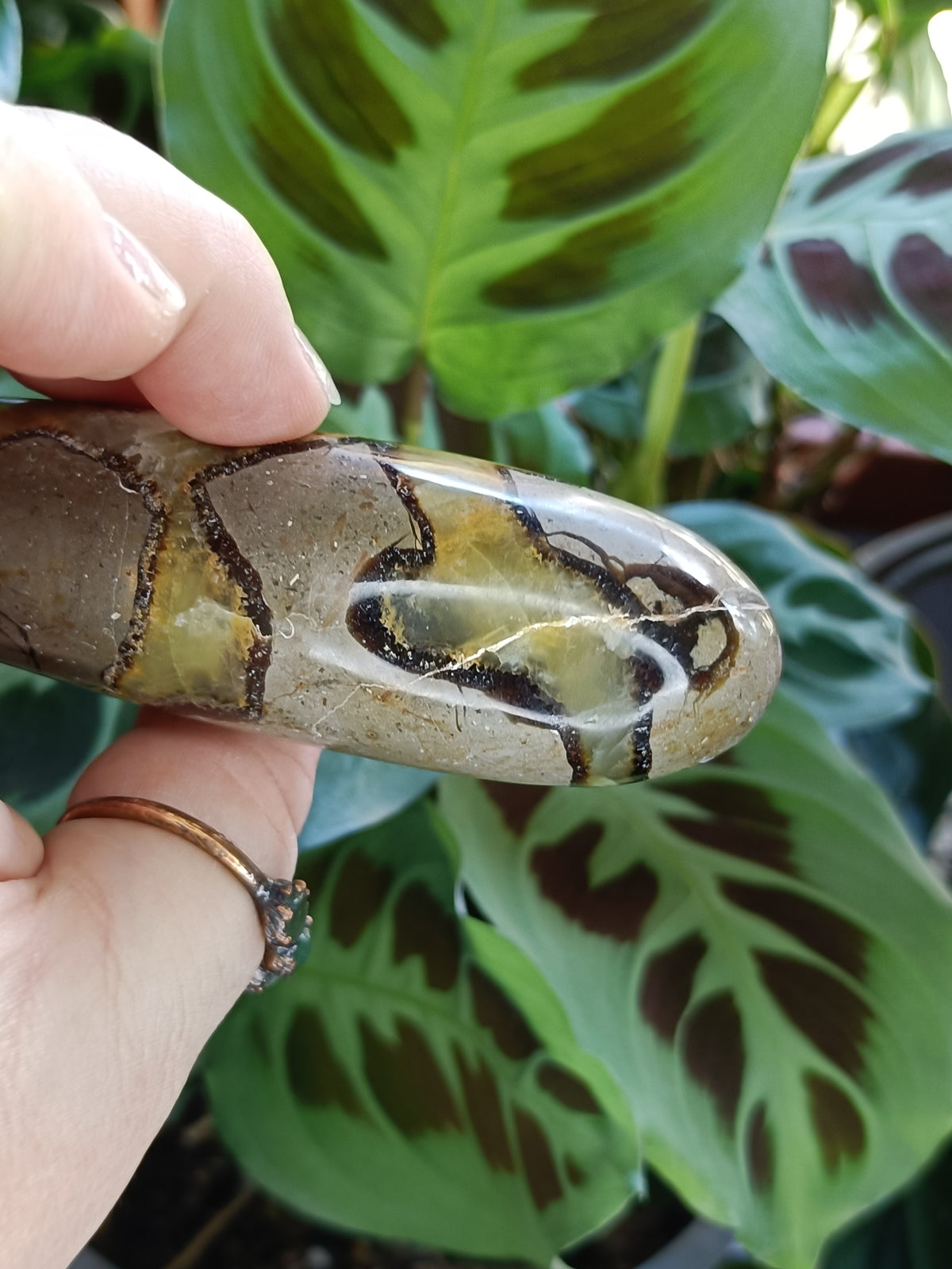 Septarian 'Dragon Stone' Wand - 177g