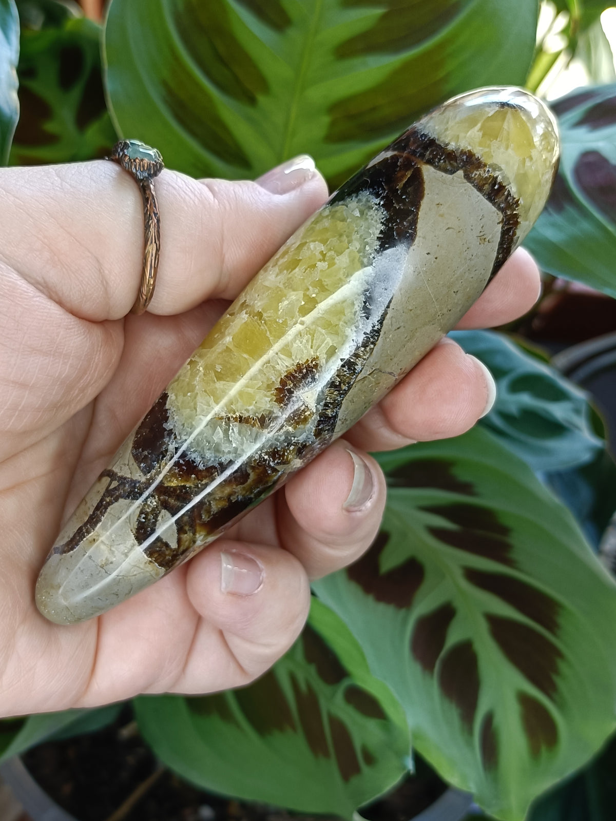 Septarian 'Dragon Stone' Wand - 160g