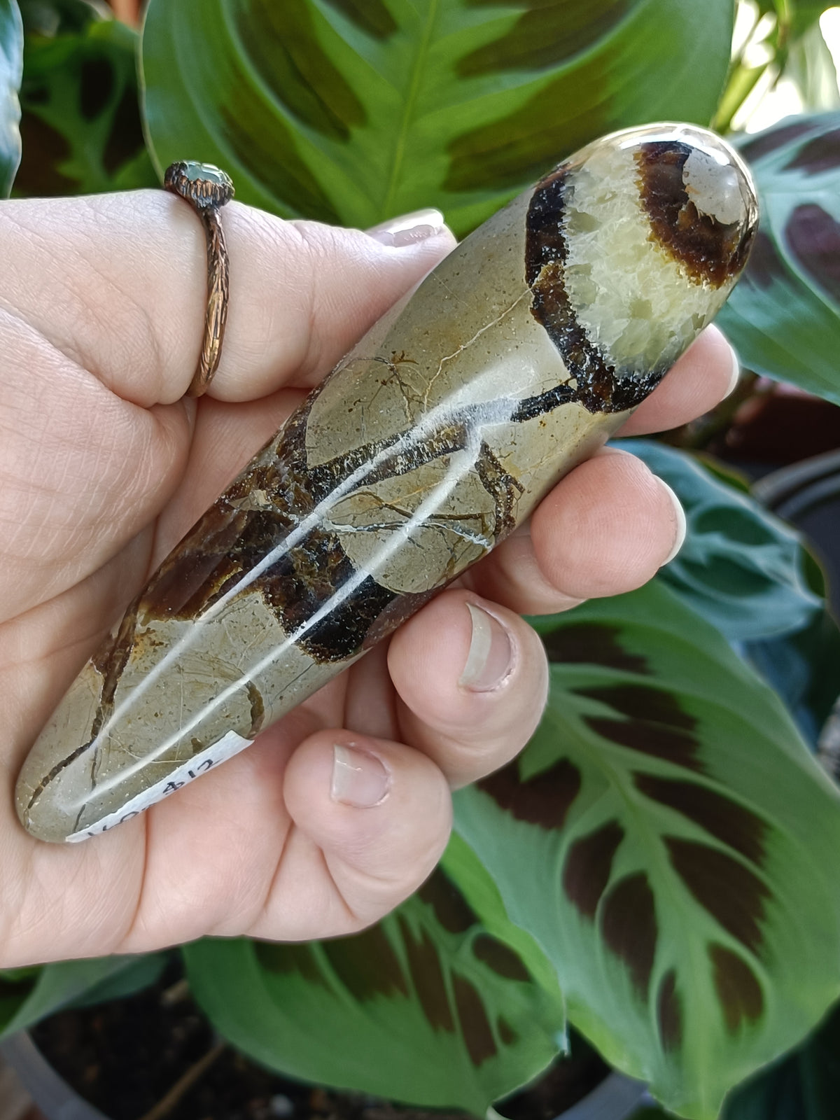 Septarian 'Dragon Stone' Wand - 160g