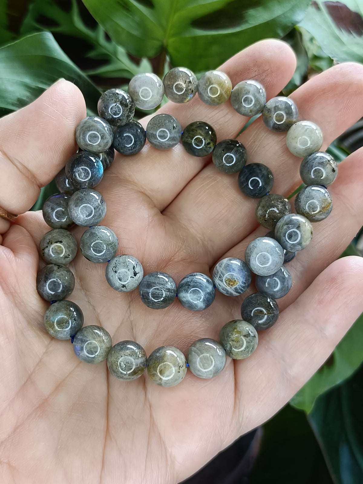 Labradorite Round Beaded Stretch Bracelet - 10mm