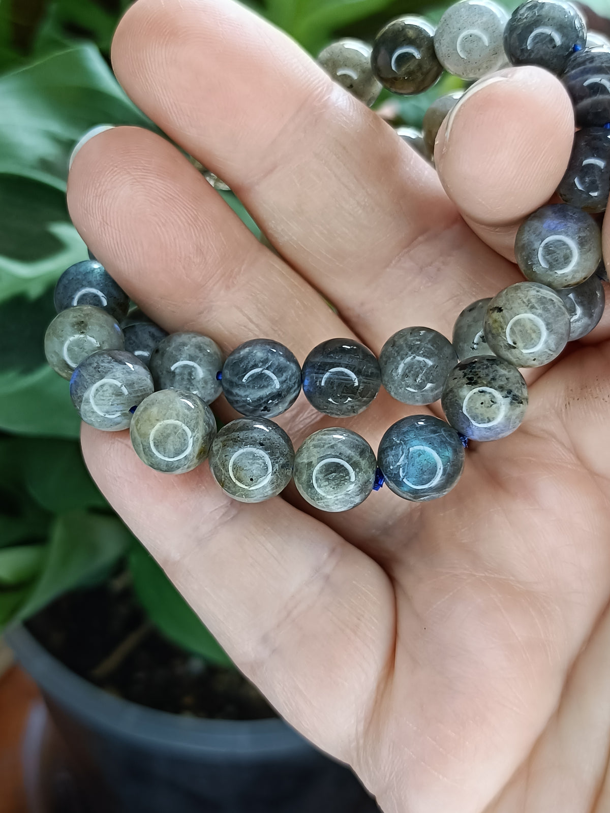 Labradorite Round Beaded Stretch Bracelet - 10mm