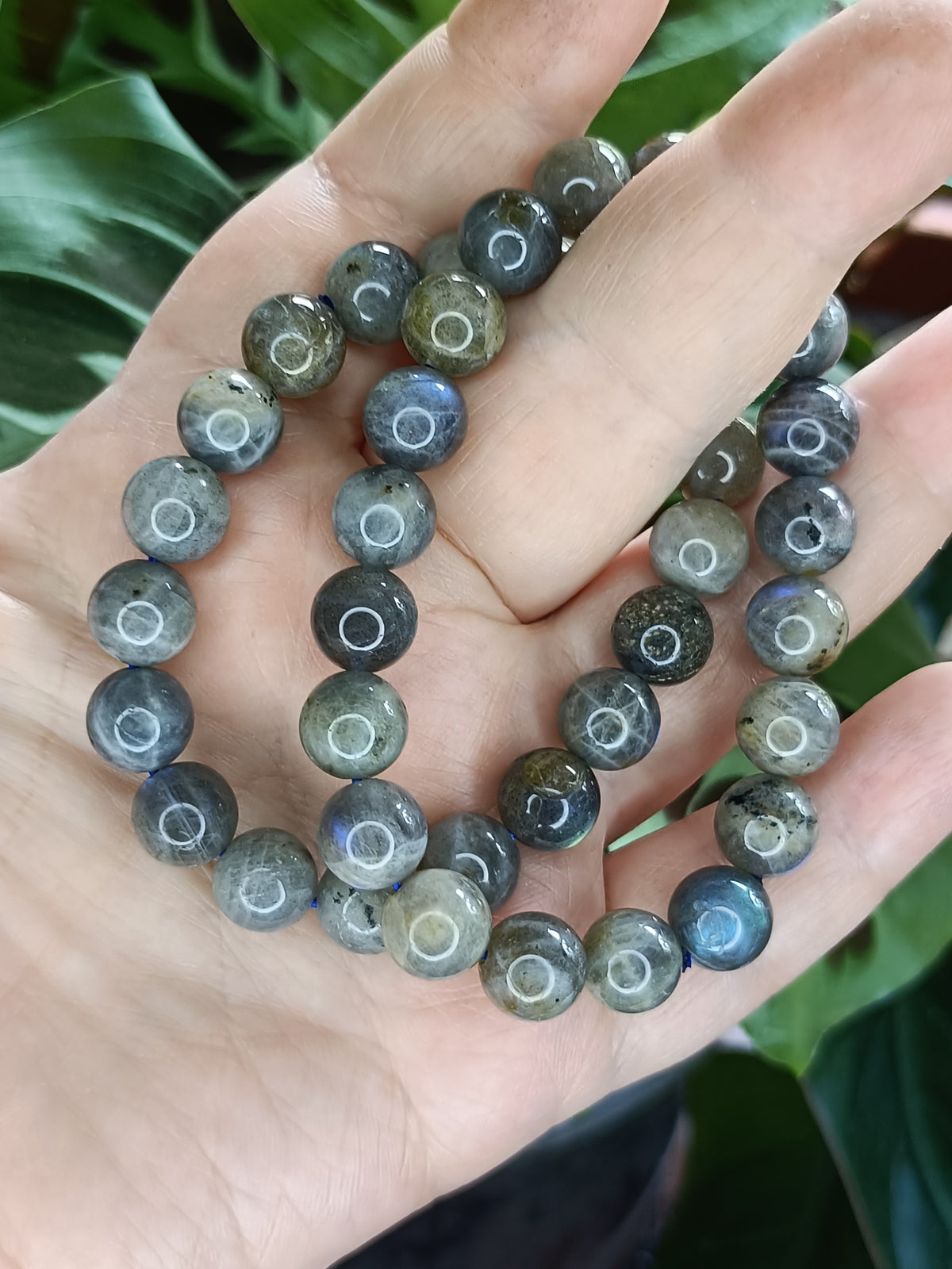 Labradorite Round Beaded Stretch Bracelet - 10mm