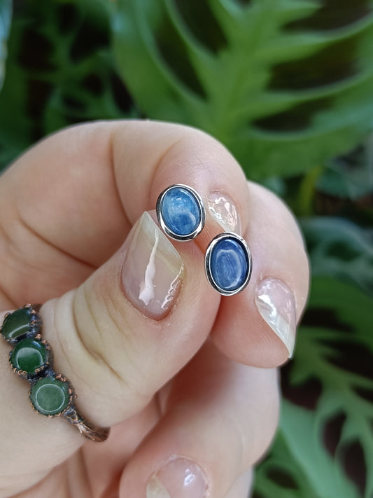 Kyanite Oval Stud Earrings - Silver-Plated Copper