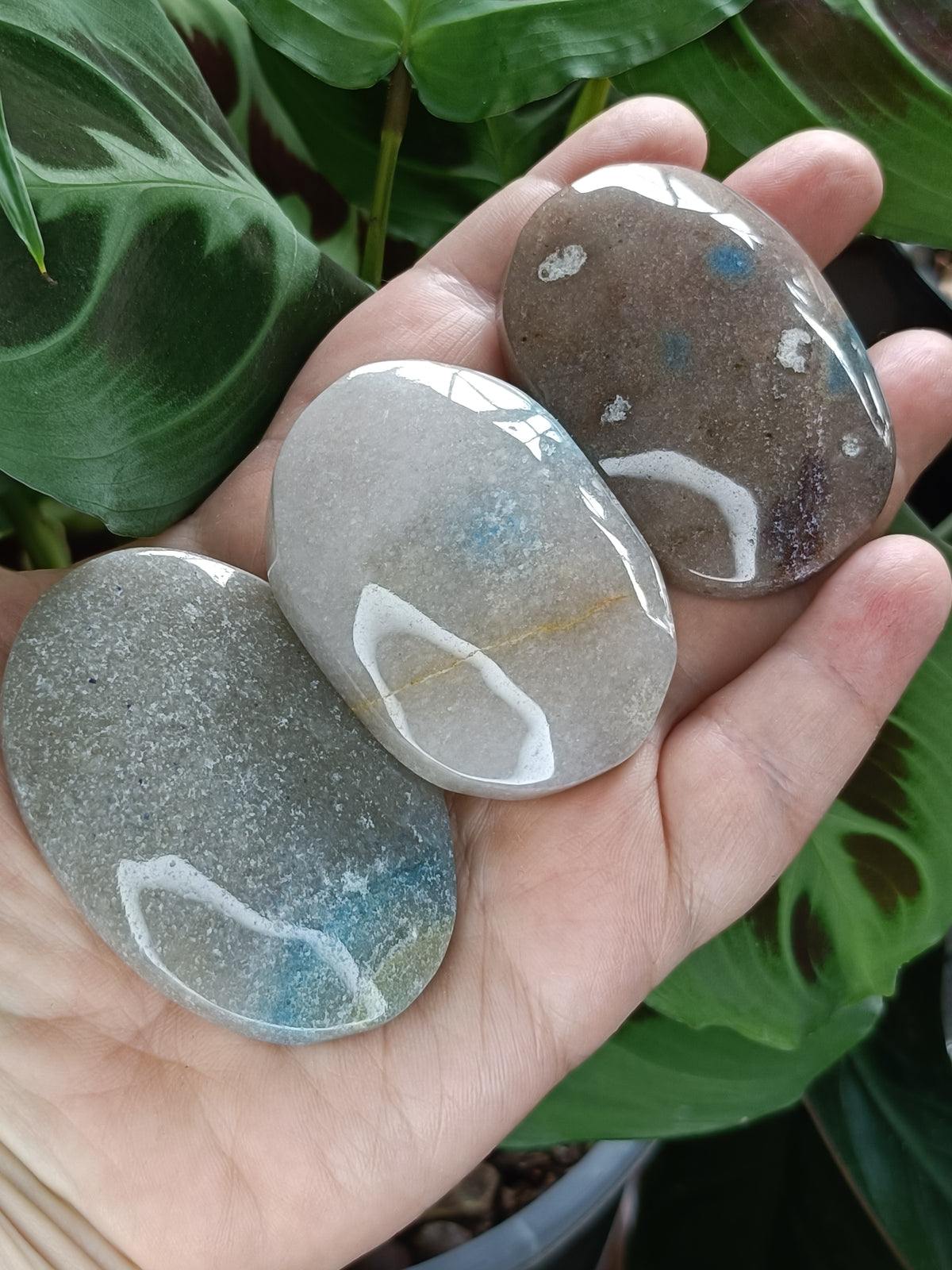 Trolleite Palm Stone - 40-80g