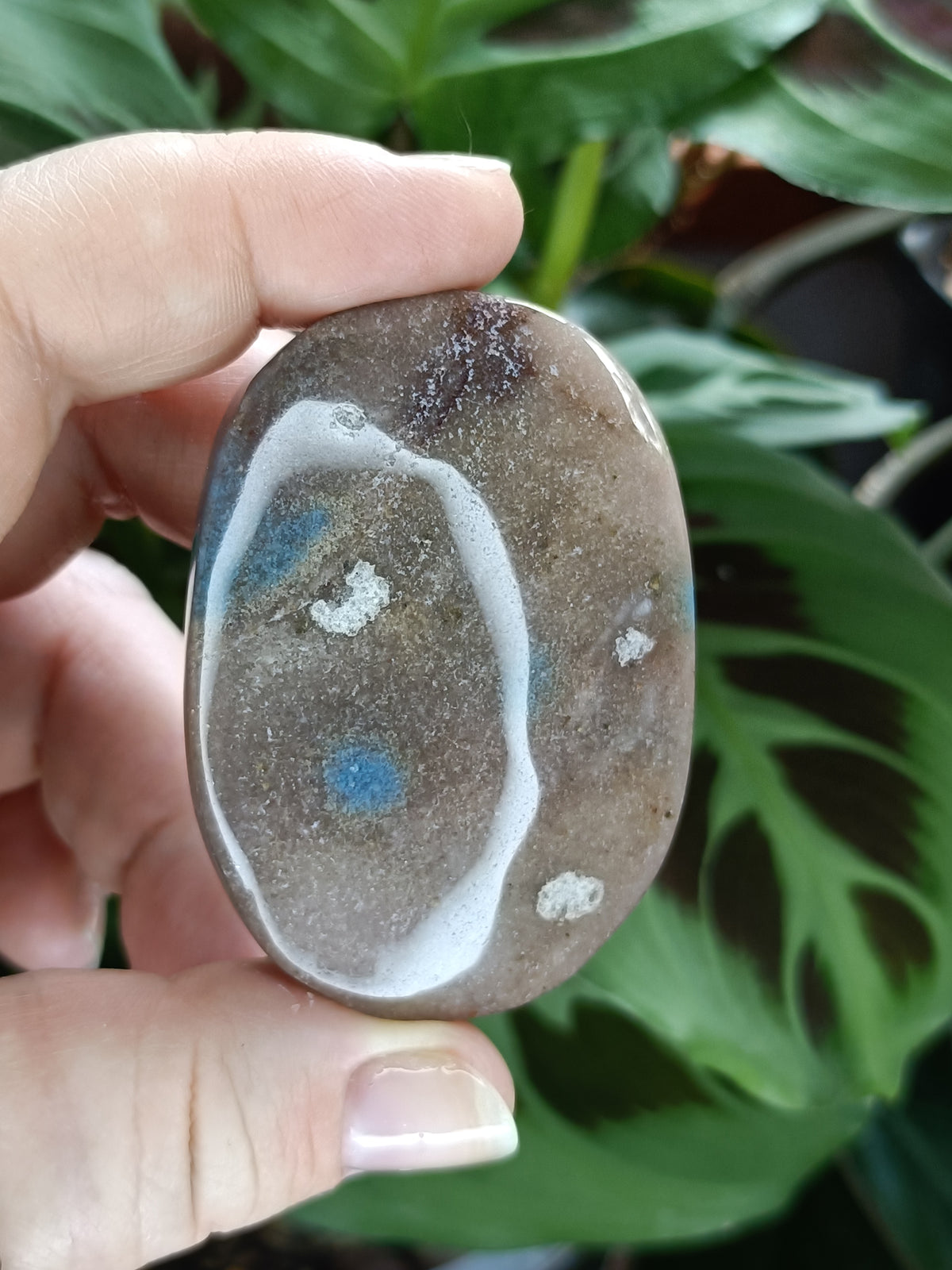 Trolleite Palm Stone - 40-80g
