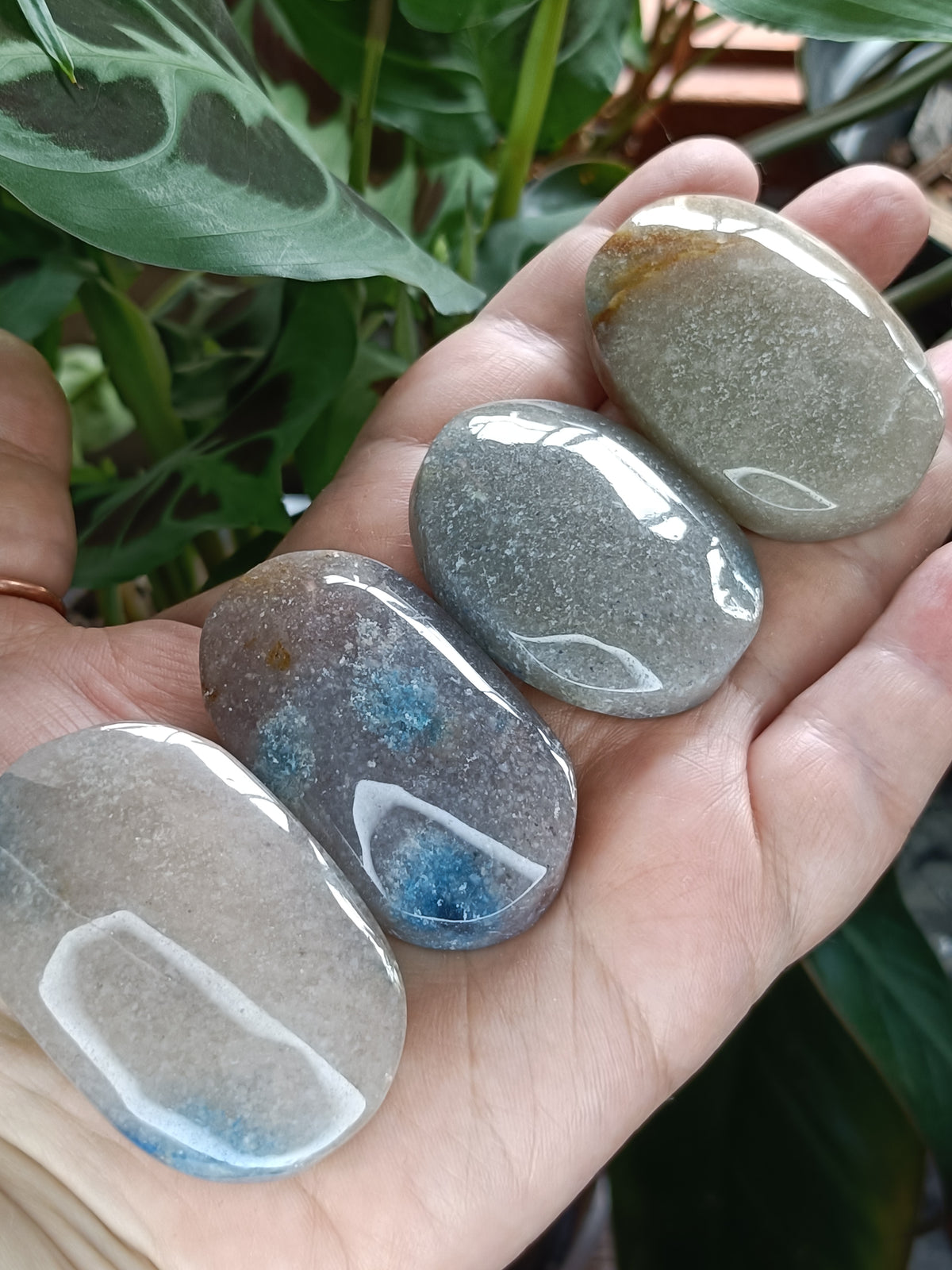 Trolleite Palm Stone - 40-80g