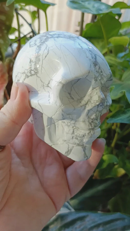 Howlite Skull Carving - 684g
