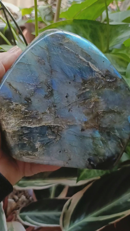 Labradorite Freeform Carving - 1489g